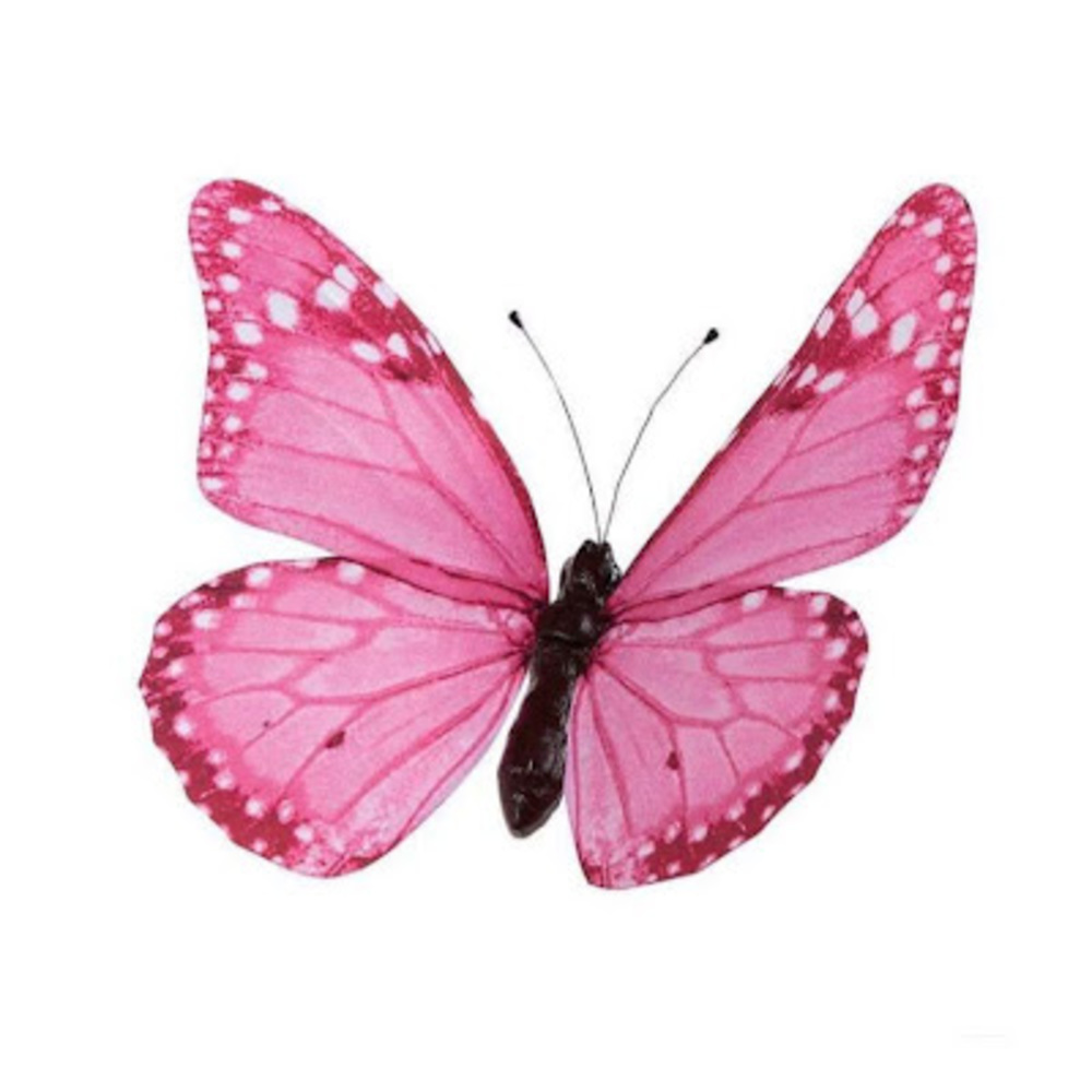 Meet your Posher, Nikki